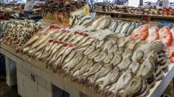 أسعار الأسماك في ختام تعاملات الأربعاء: تغييرات مؤثرة على الأسواق والمستهلكين